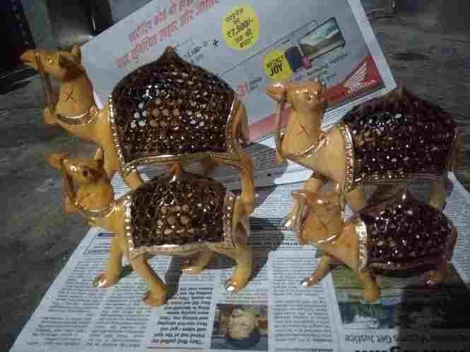 Jaali camel